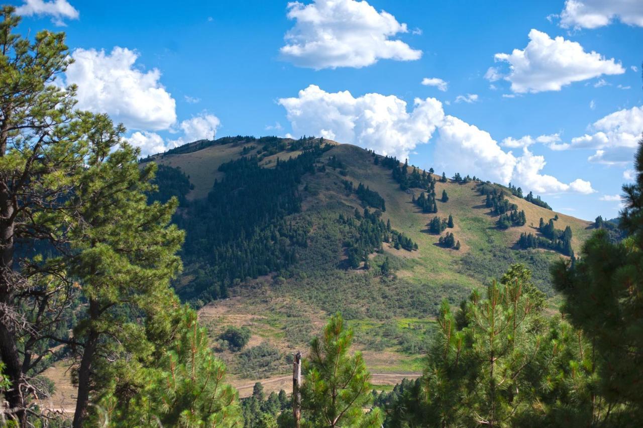 Huge Ruidoso Retreat With Game Room, Pool, 2 Balconies, 2 Kitchens - Sleeps 17! Zewnętrze zdjęcie